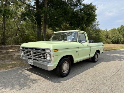 1973 Ford F-100 for sale