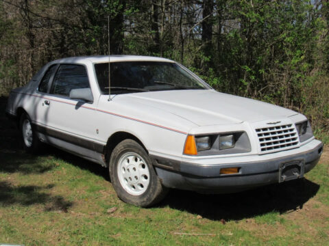 1985 Ford Thunderbird for sale