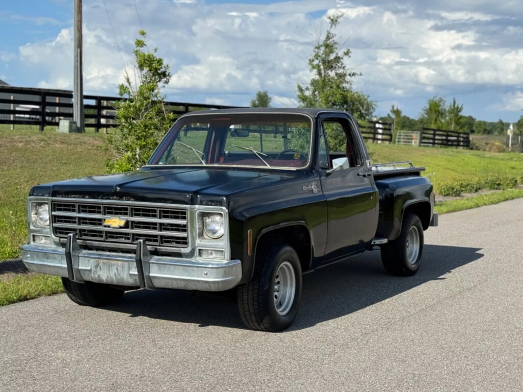 1979 Chevrolet C-10 Big-10 C10 Silverado Barn Find 1 Owner