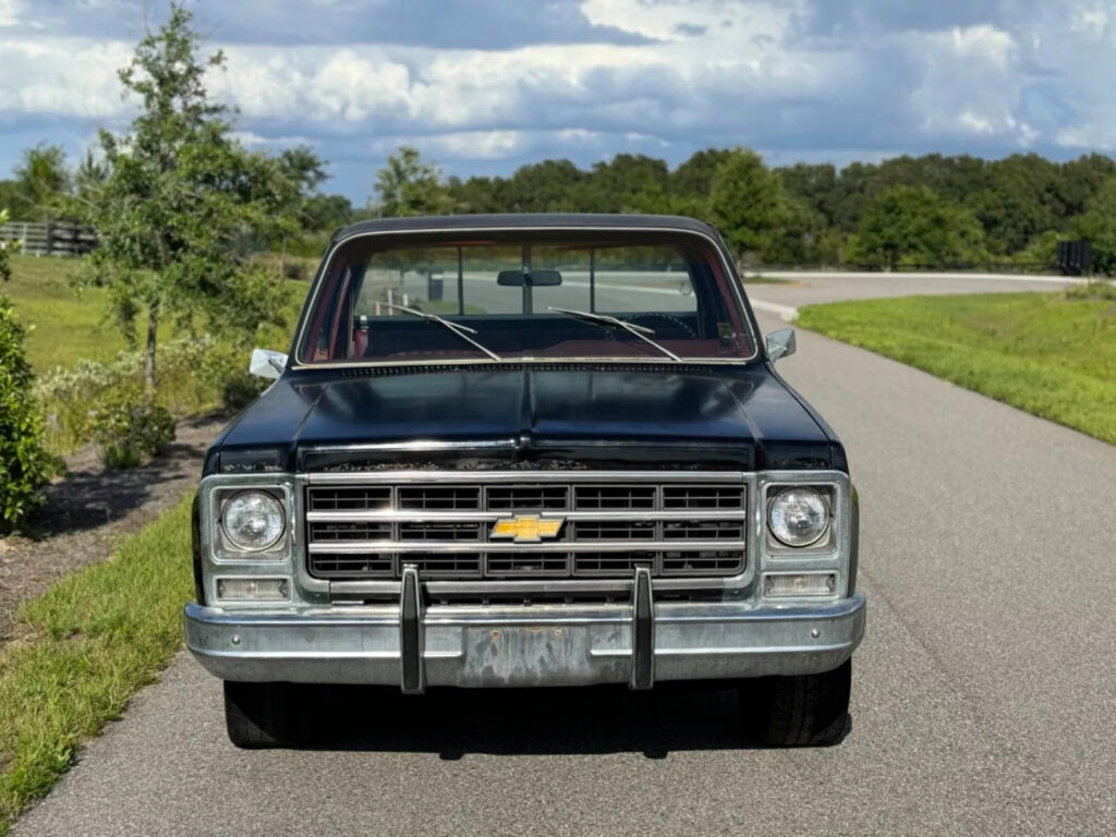 1979 Chevrolet C-10 Big-10 C10 Silverado Barn Find 1 Owner