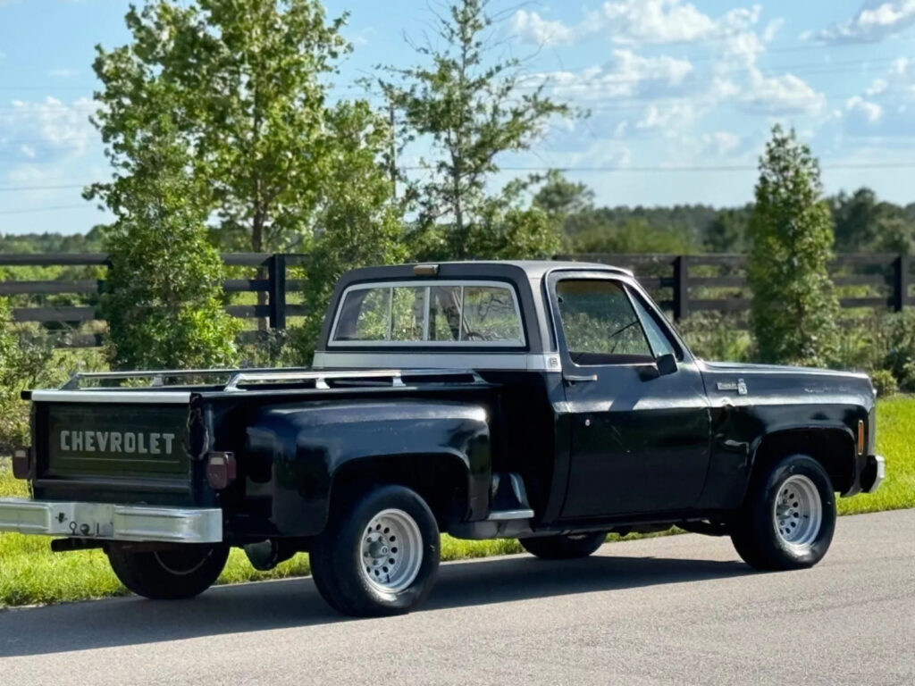 1979 Chevrolet C-10 Big-10 C10 Silverado Barn Find 1 Owner