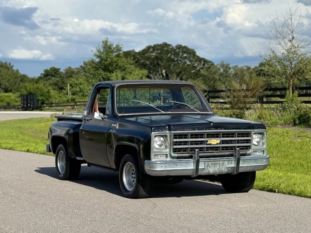 1979 Chevrolet C-10 Big-10 C10 Silverado Barn Find 1 Owner