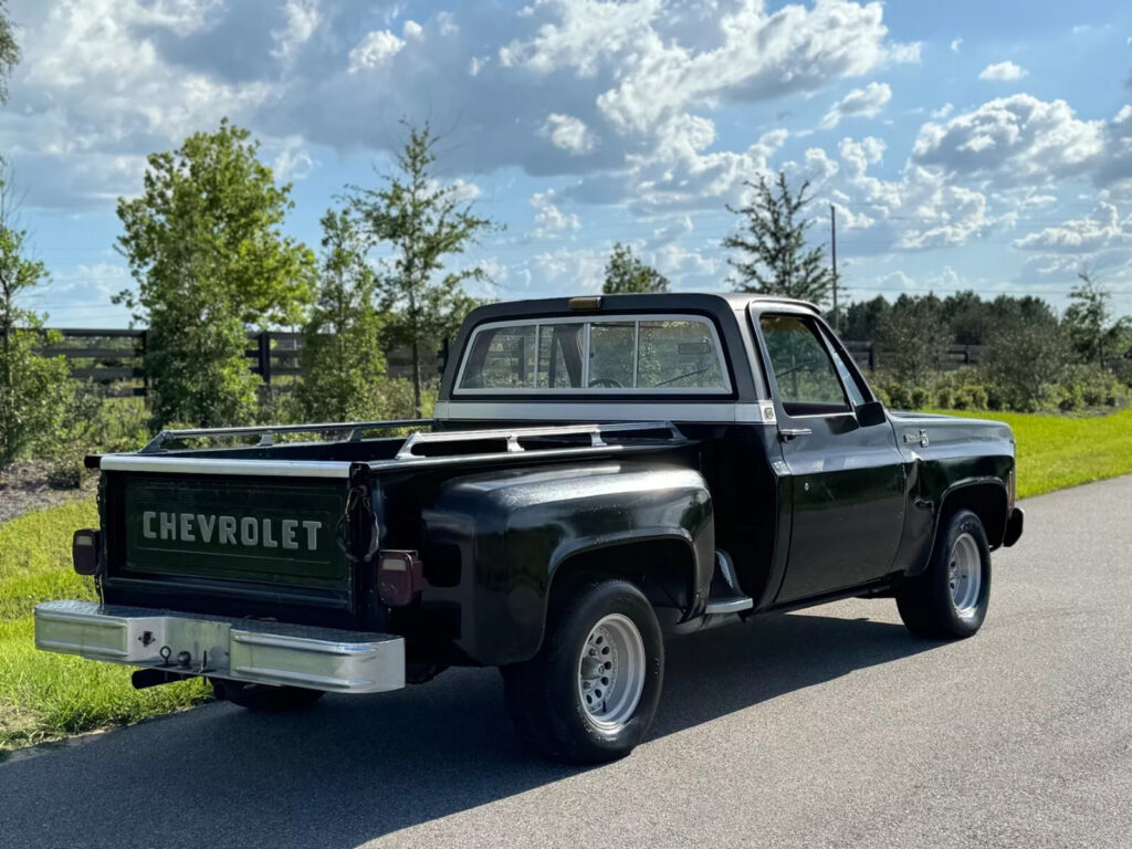 1979 Chevrolet C-10 Big-10 C10 Silverado Barn Find 1 Owner