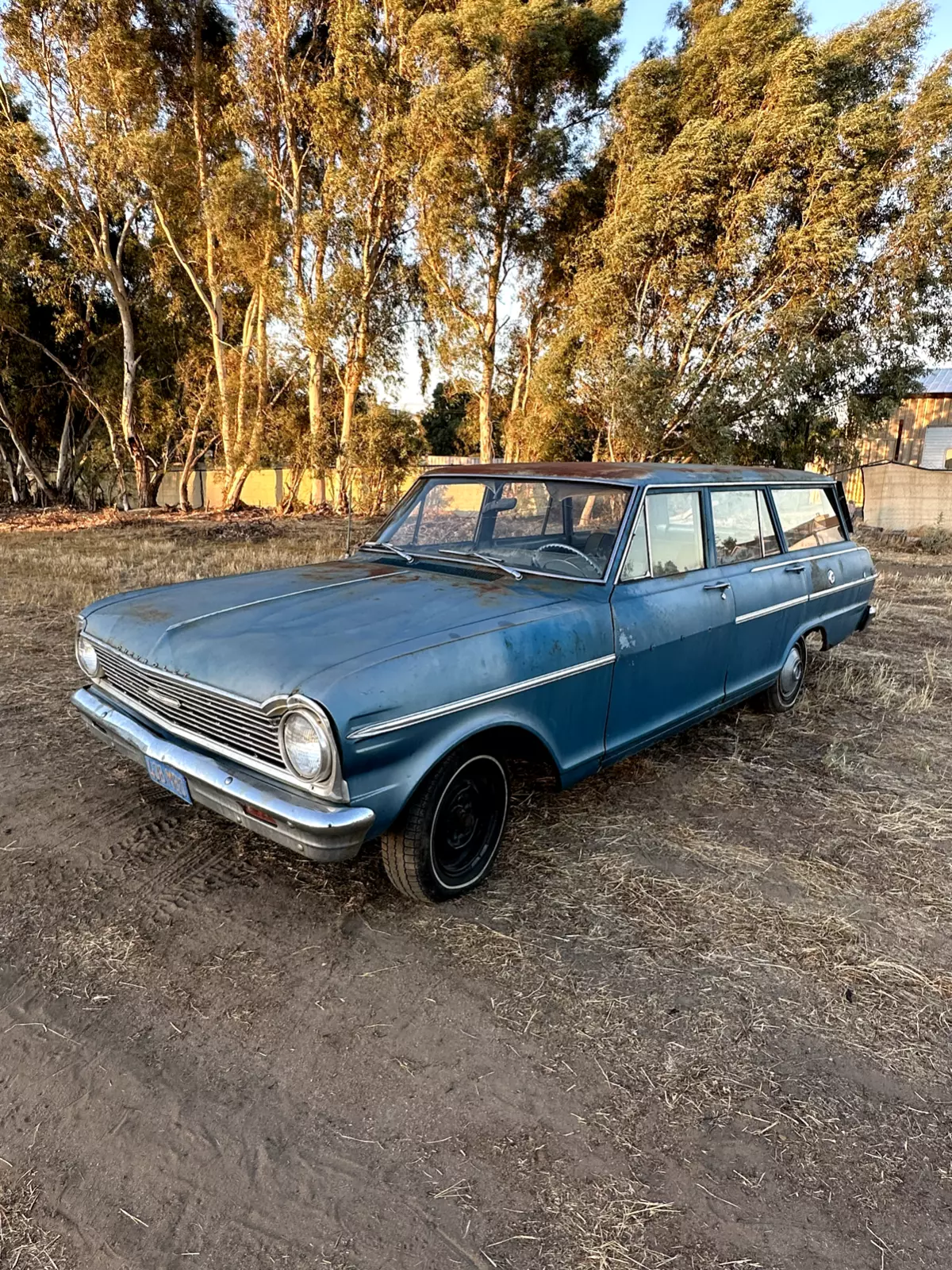 1965 Chevrolet Nova Chevy 11 nova Wagon Barn find for sale