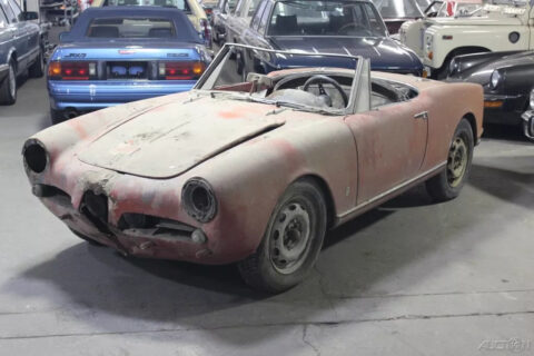 1962 Alfa Romeo Giulia for sale