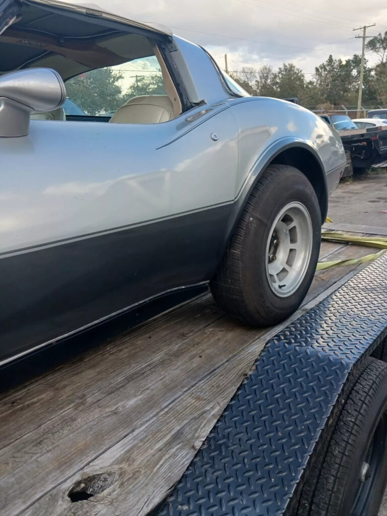 1978 Chevrolet Corvette 25th Anniversary ❤️