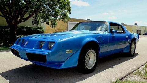 1980 Pontiac Trans Am for sale