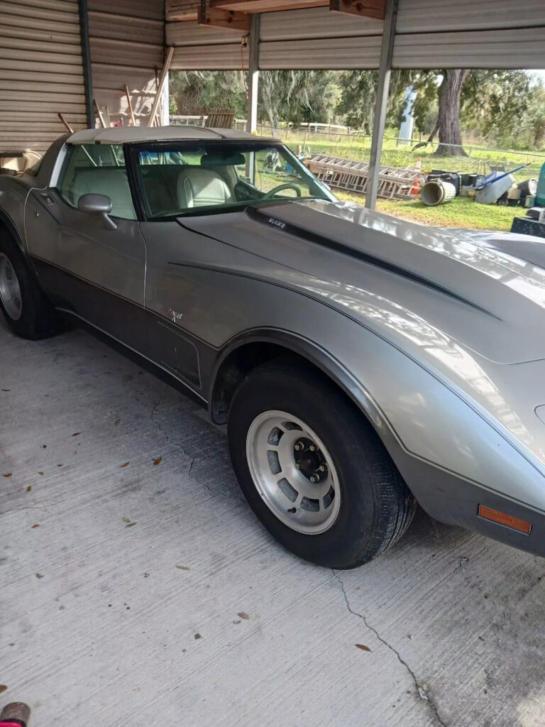 1978 Chevrolet Corvette 25th Anniversary ❤️