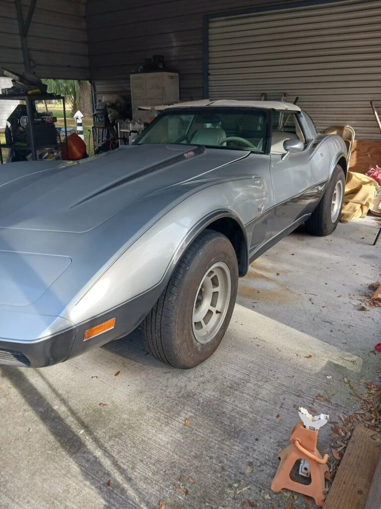 1978 Chevrolet Corvette 25th Anniversary ❤️