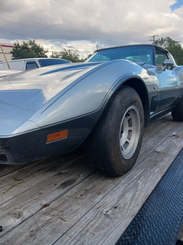 1978 Chevrolet Corvette 25th Anniversary ❤️