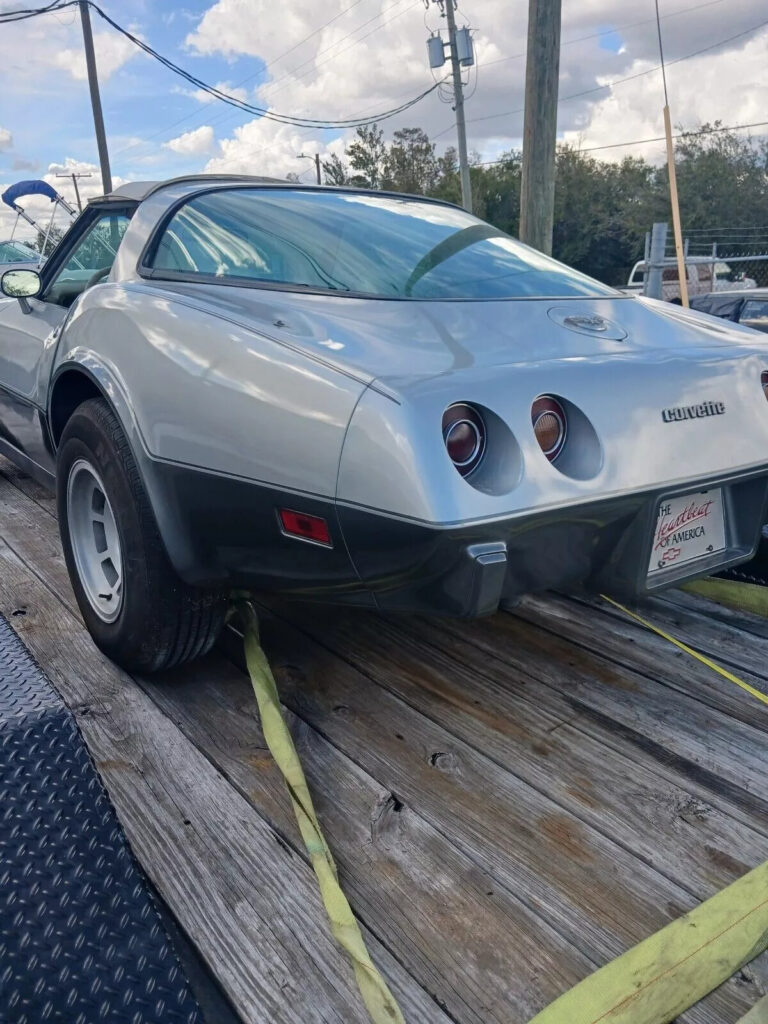 1978 Chevrolet Corvette 25th Anniversary ❤️