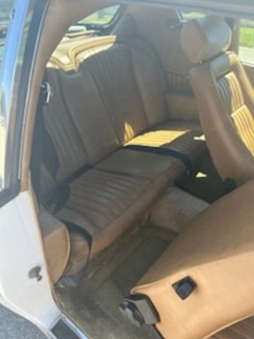 1982 Avanti Coupe