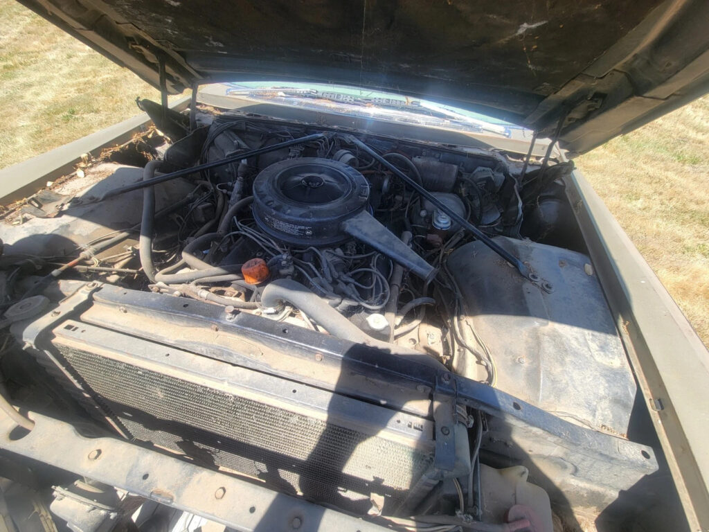 1966 Cadillac Deville