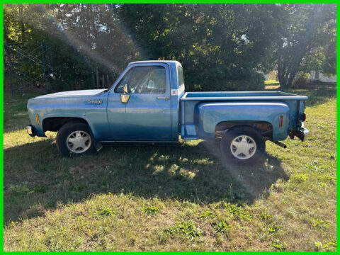 1973 Chevrolet C10 Cheyenne Numbers Matching Barn Find 2Dr Stepside for sale