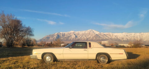 1978 Oldsmobile Toronado for sale