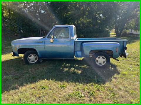 1973 Chevrolet C10 Cheyenne Numbers Matching Barn Find 2Dr Stepside Stk#9701795 for sale