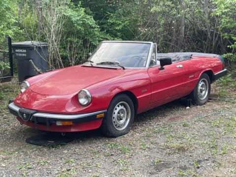 1987 Alfa Romeo Spider Graduate for sale