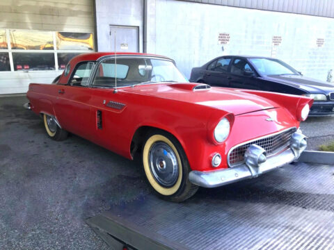 1956 Ford Thunderbird for sale