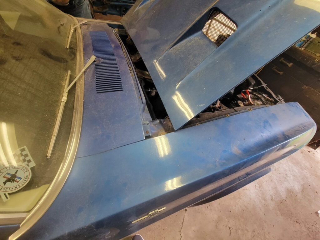 1969 Shelby GT500 428 Cobra Jet