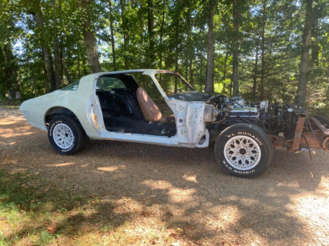 1980 Pontiac Firebird for sale