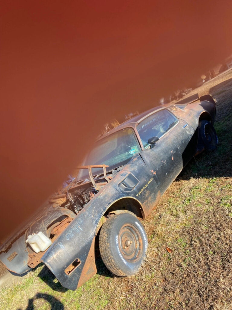 1980 Pontiac Firebird