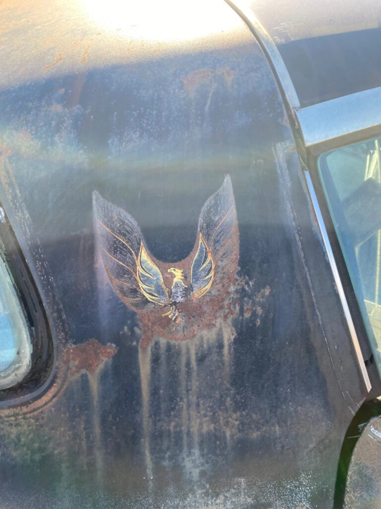 1980 Pontiac Firebird