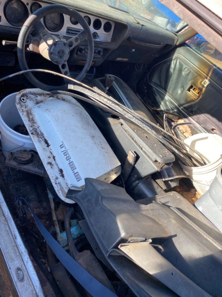 1980 Pontiac Firebird