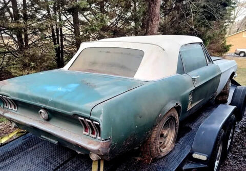 1967 Ford Mustang for sale