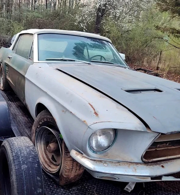 1967 Ford Mustang