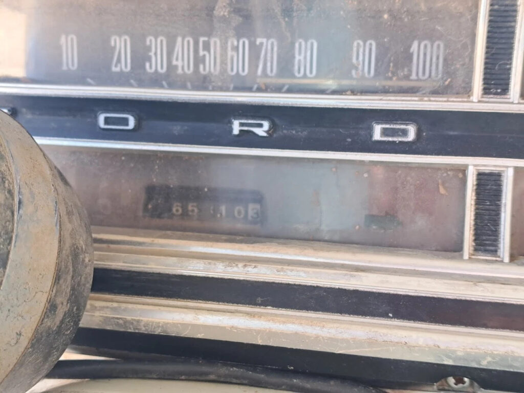 1967 Ford Pickups