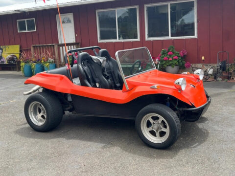 1970 Volkswagen BUGGY for sale