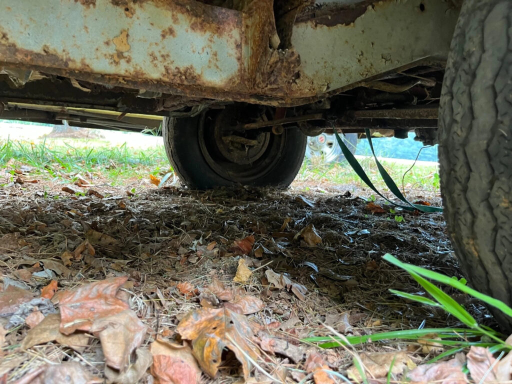 1962 Volkswagen Bus/vanagon