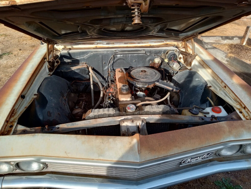 1966 Chevrolet Biscayne