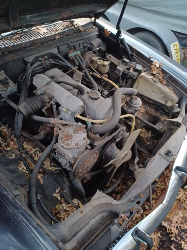 1972 Mercedes-Benz 220D EURO