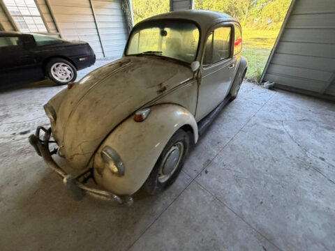 1967 Volkswagen Beetle – Classic for sale