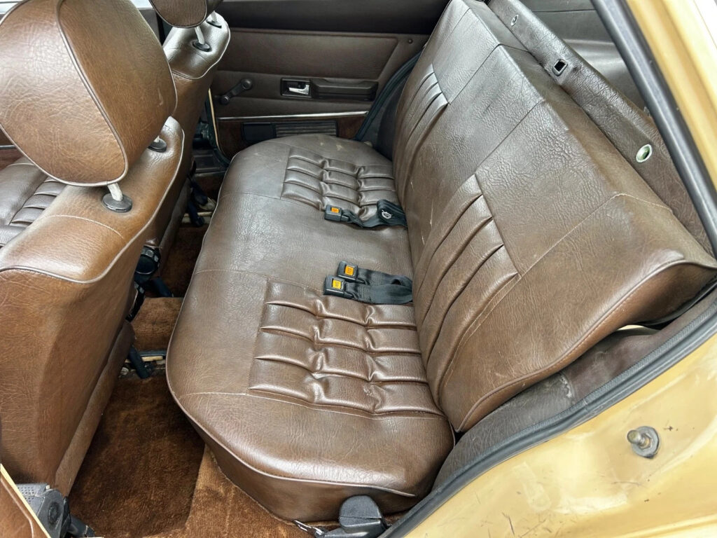 1979 Volkswagen Dasher