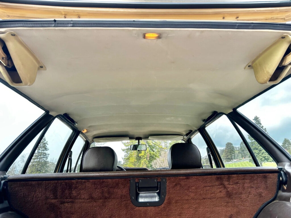 1979 Volkswagen Dasher