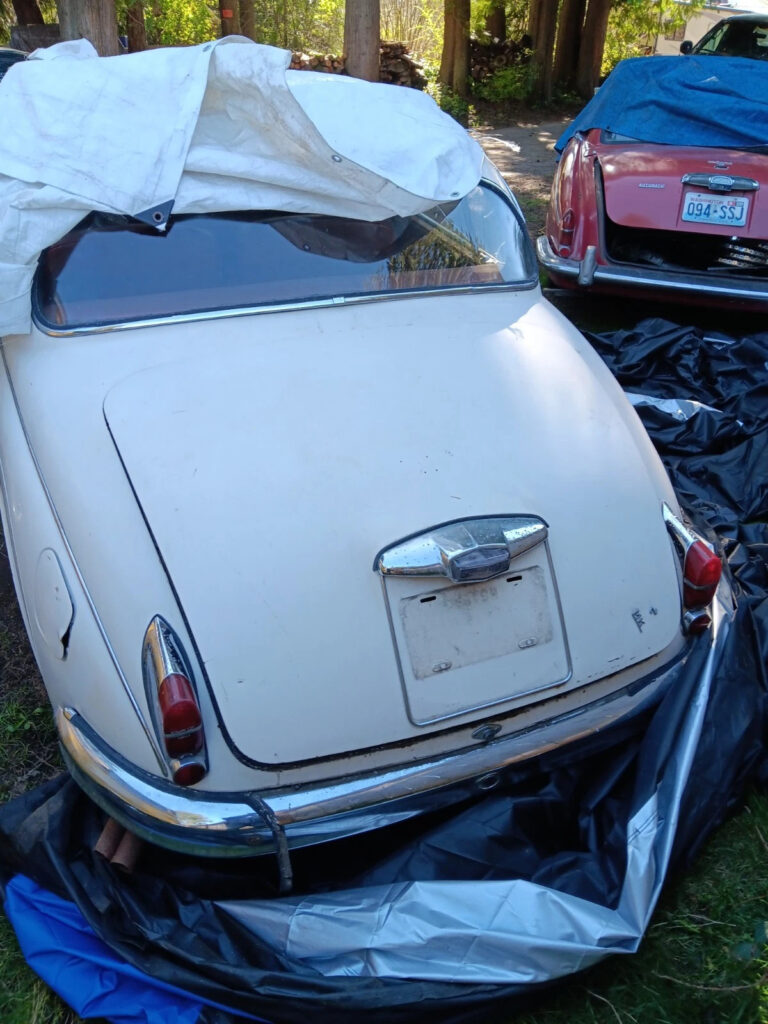 1962 Jaguar