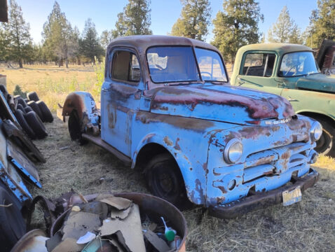1952 Dodge B-3 for sale