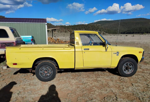 1980 Chevrolet LUV for sale