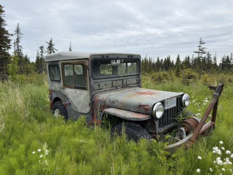 Military Jeep: Willys, Ford and Bantam, 1942-1945 by Graham Scott for sale