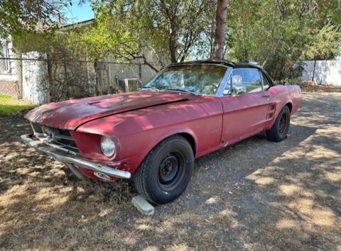 1967 Ford Mustang for sale
