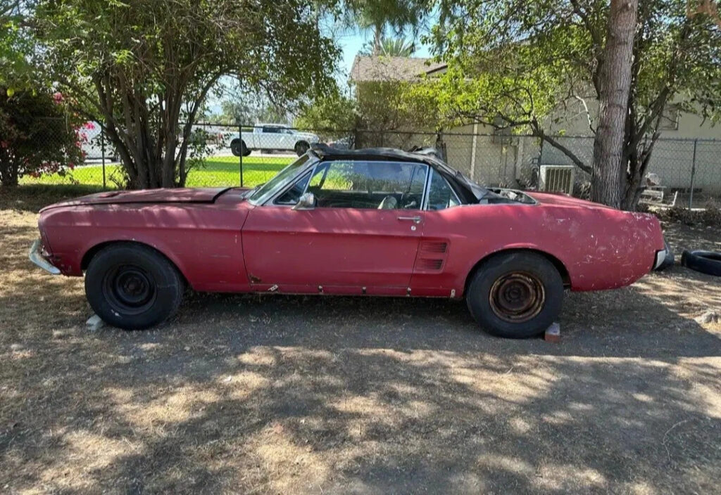 1967 Ford Mustang