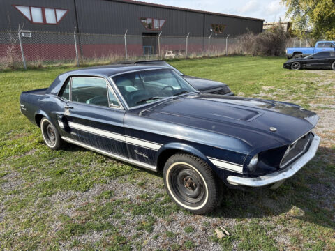 1968 Ford Mustang California Special BARN FIND NO Reserve for sale